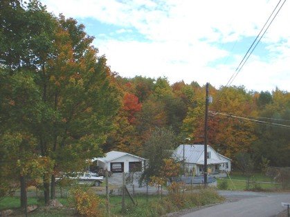 Beautiful Fall Colors,  Fall 2001