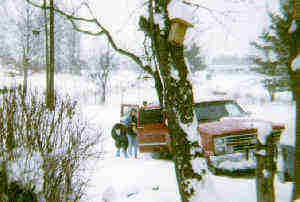 More Snow .... every where you looked!